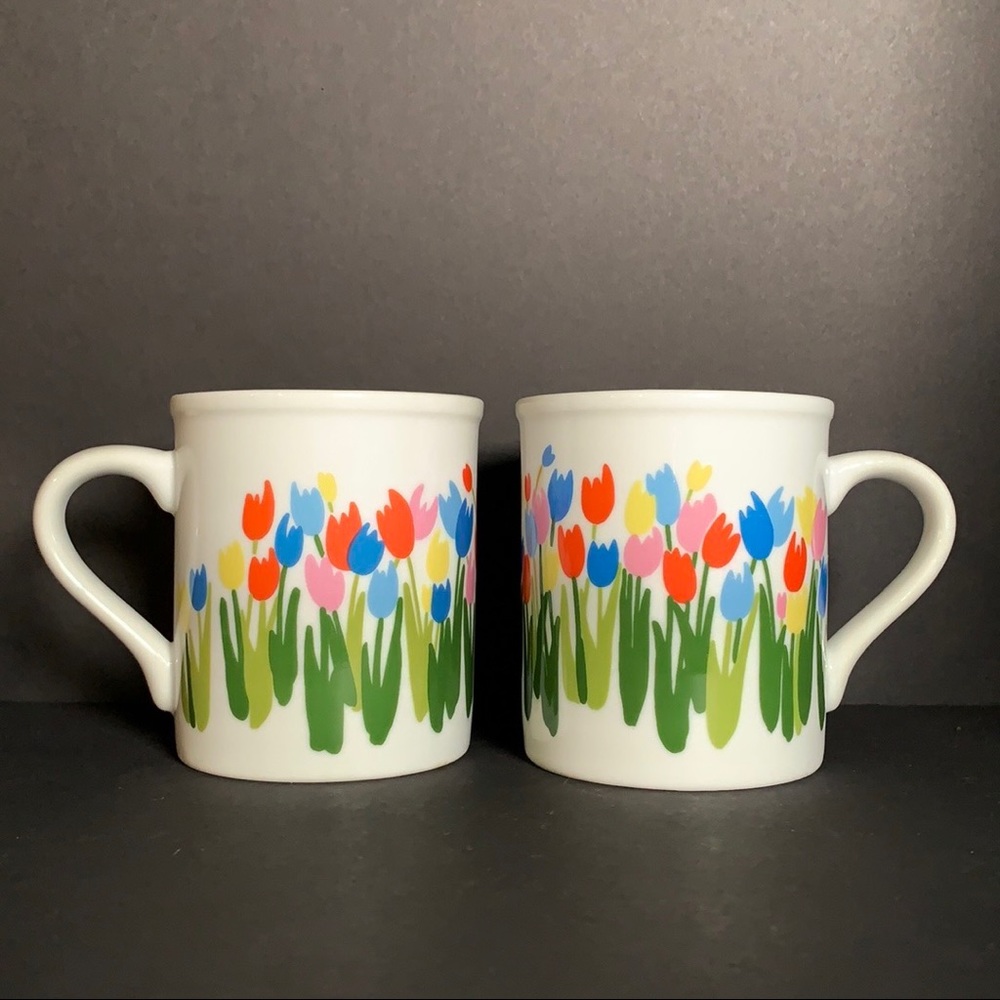 Japan Ceramic Multicolor Tulips Coffee Mug Set of 2